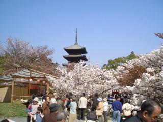 画像の説明