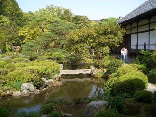 画像の説明